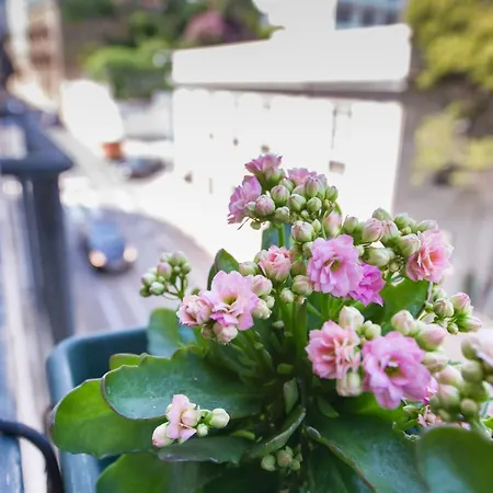 Dreams Estrela Апартаменты Лиссабон