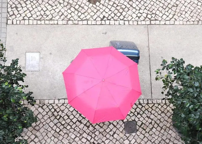 Dreams Estrela Lisboa